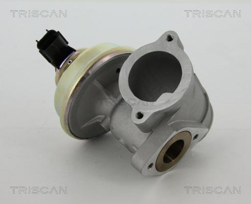 Triscan 8813 16102 - EGR Valve onlydrive.pro