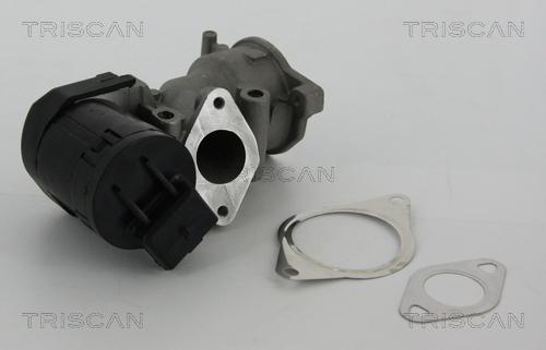 Triscan 8813 10001 - EGR Valve onlydrive.pro