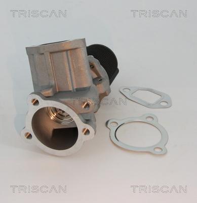 Triscan 8813 10003 - EGR Valve onlydrive.pro