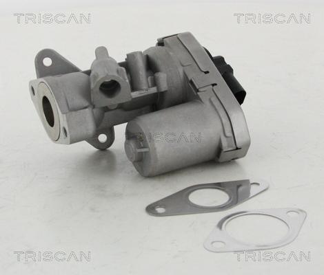 Triscan 8813 10002 - EGR Valve onlydrive.pro