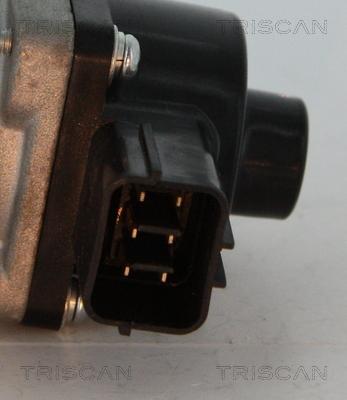 Triscan 8813 10014 - EGR Valve onlydrive.pro