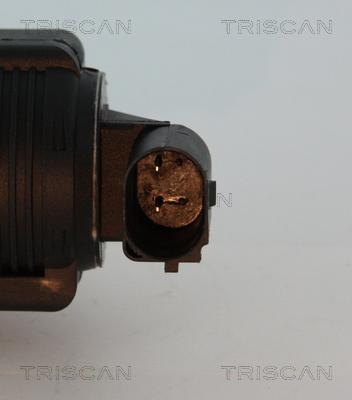 Triscan 8813 10015 - EGR Valve onlydrive.pro