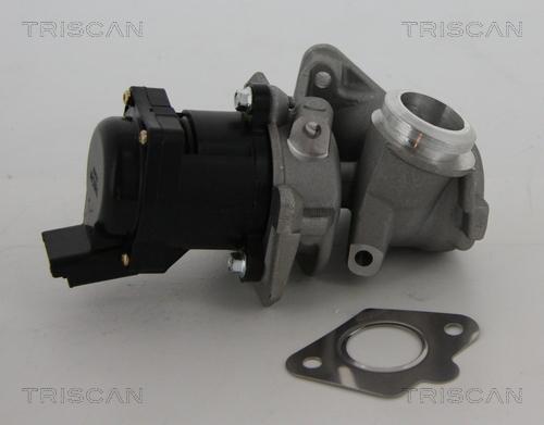 Triscan 8813 10010 - EGR Valve onlydrive.pro