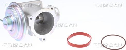 Triscan 8813 11003 - EGR-klapp onlydrive.pro