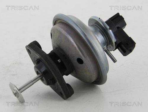 Triscan 8813 11002 - EGR-klapp onlydrive.pro