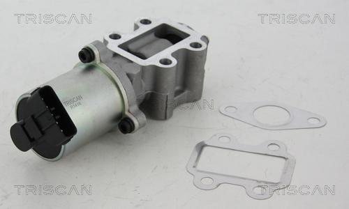 Triscan 8813 13102 - EGR Valve onlydrive.pro