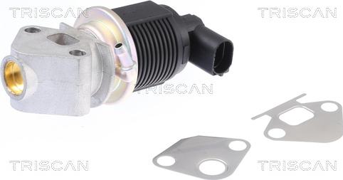 Triscan 8813 29009 - EGR-klapp onlydrive.pro