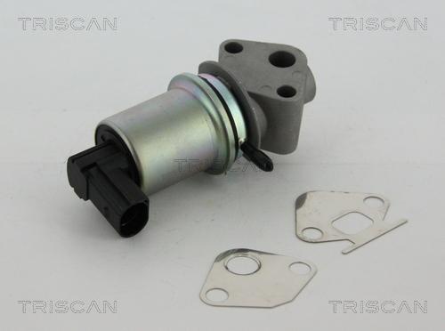 Triscan 8813 29004 - EGR Valve onlydrive.pro