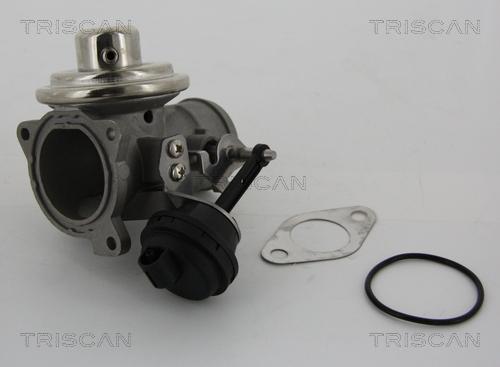 Triscan 8813 29001 - EGR Valve onlydrive.pro