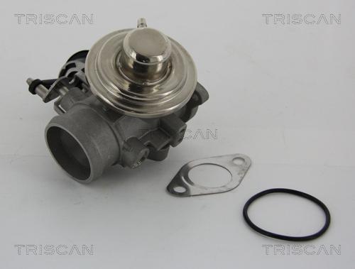 Triscan 8813 29001 - Клапан возврата ОГ onlydrive.pro