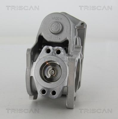 Triscan 8813 29003 - EGR Valve onlydrive.pro