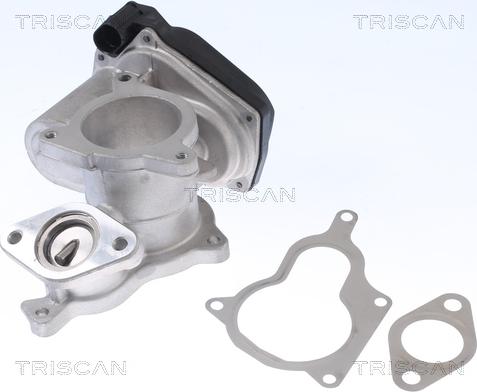 Triscan 8813 29019 - EGR-klapp onlydrive.pro