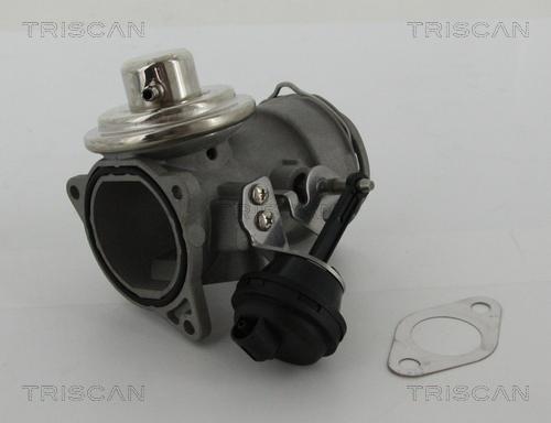 Triscan 8813 29036 - EGR Valve onlydrive.pro