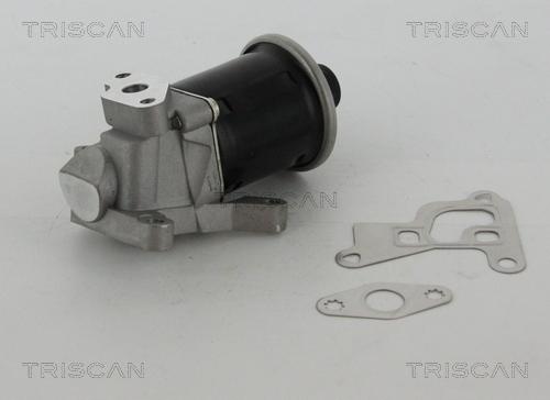 Triscan 8813 29100 - EGR Valve onlydrive.pro