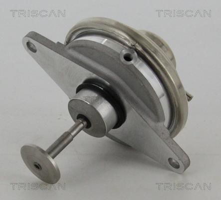 Triscan 8813 24054 - EGR Valve onlydrive.pro