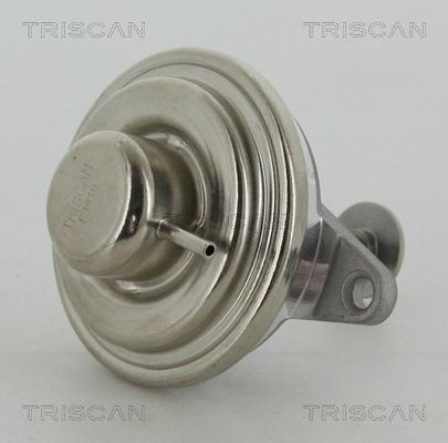 Triscan 8813 24054 - EGR-klapp onlydrive.pro