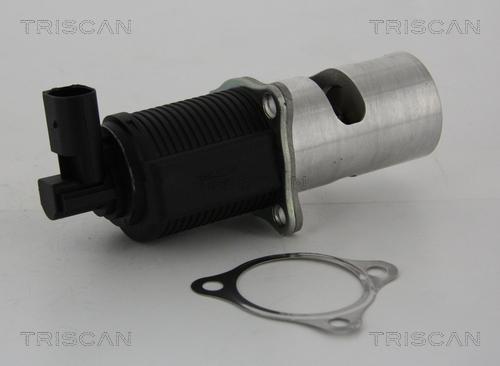 Triscan 8813 24055 - EGR Valve onlydrive.pro