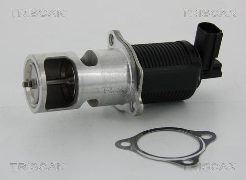 Triscan 8813 24055 - EGR Valve onlydrive.pro