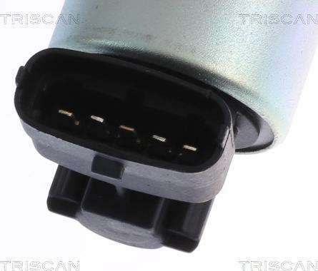 Triscan 8813 24001 - EGR Valve onlydrive.pro