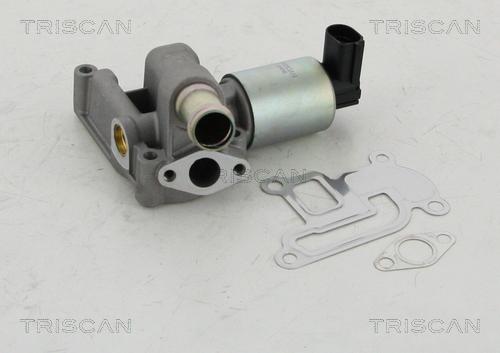 Triscan 8813 24003 - EGR Valve onlydrive.pro