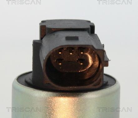 Triscan 8813 24003 - EGR Valve onlydrive.pro