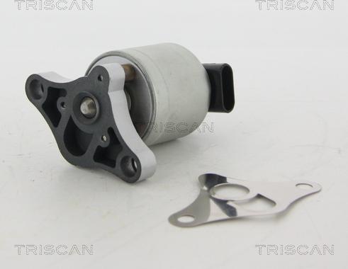 Triscan 8813 24002 - EGR Valve onlydrive.pro