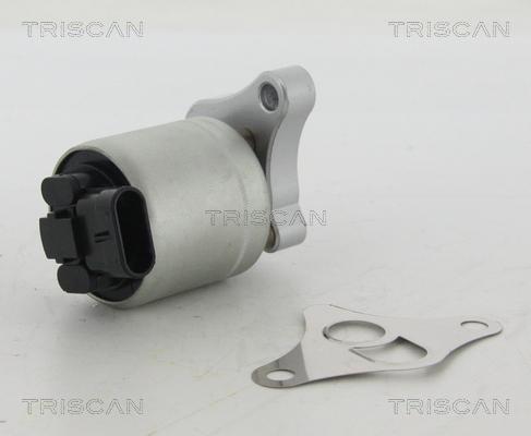 Triscan 8813 24002 - EGR Valve onlydrive.pro