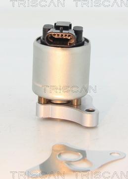 Triscan 8813 24002 - EGR Valve onlydrive.pro