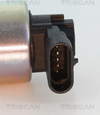 Triscan 8813 24010 - EGR Valve onlydrive.pro