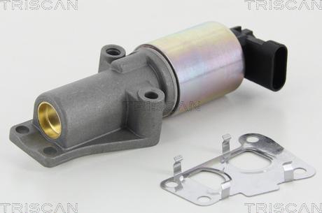 Triscan 8813 24010 - EGR Valve onlydrive.pro