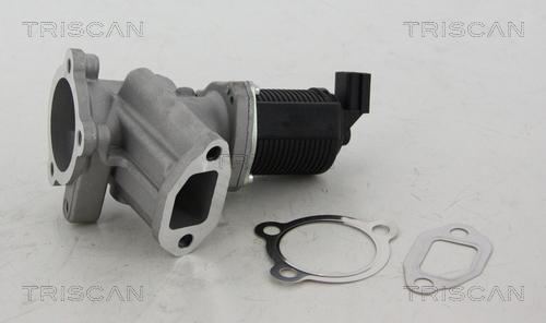 Triscan 8813 24012 - EGR-klapp onlydrive.pro