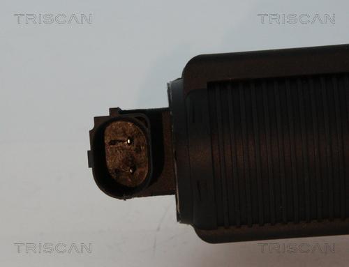 Triscan 8813 24082 - EGR Valve onlydrive.pro