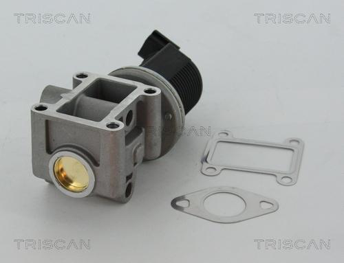 Triscan 8813 24082 - Клапан возврата ОГ onlydrive.pro