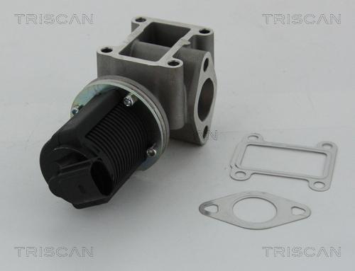 Triscan 8813 24082 - EGR Valve onlydrive.pro