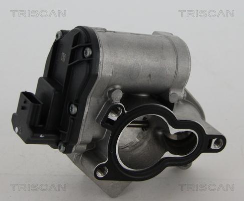 Triscan 8813 24039 - EGR Valve onlydrive.pro