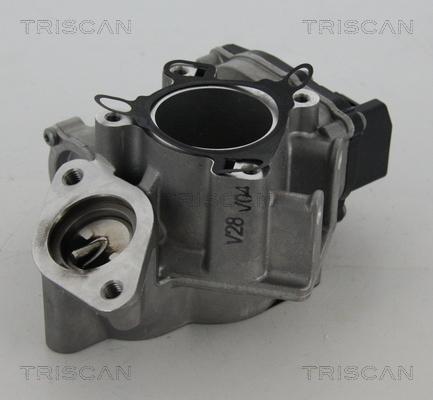 Triscan 8813 24039 - EGR Valve onlydrive.pro