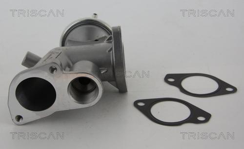 Triscan 8813 24031 - EGR Valve onlydrive.pro