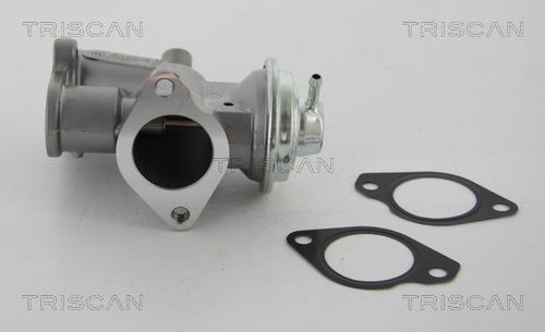 Triscan 8813 24031 - EGR Valve onlydrive.pro