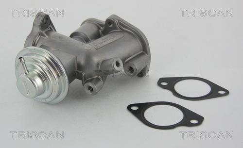 Triscan 8813 24031 - EGR Valve onlydrive.pro