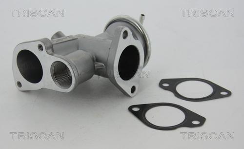 Triscan 8813 24031 - EGR Valve onlydrive.pro