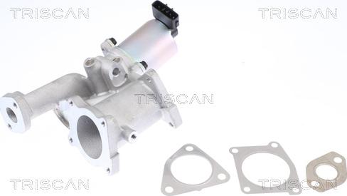 Triscan 8813 24101 - EGR Valve onlydrive.pro