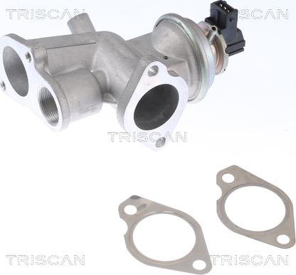 Triscan 8813 24203 - EGR Valve onlydrive.pro