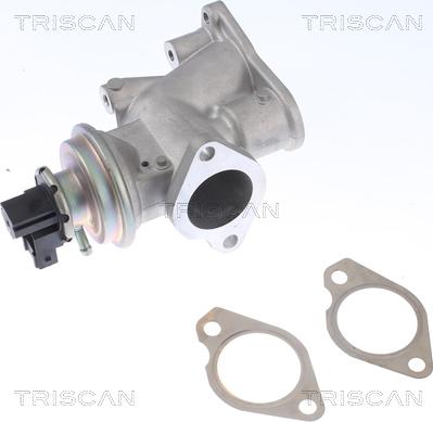 Triscan 8813 24203 - EGR Valve onlydrive.pro