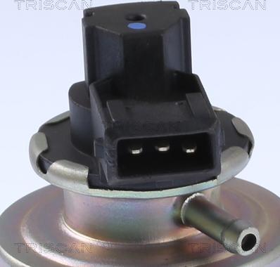 Triscan 8813 24203 - EGR Valve onlydrive.pro