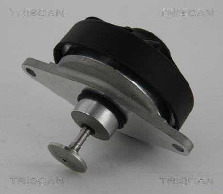 Triscan 8813 24202 - EGR Valve onlydrive.pro