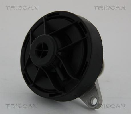 Triscan 8813 24202 - EGR Valve onlydrive.pro