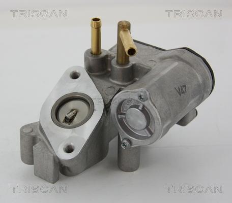 Triscan 8813 25018 - ERG vožtuvas onlydrive.pro