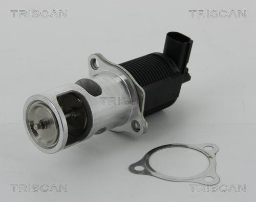 Triscan 8813 25038 - ERG vožtuvas onlydrive.pro