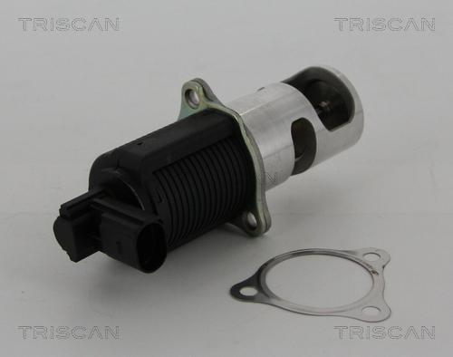 Triscan 8813 25038 - EGR Valve onlydrive.pro