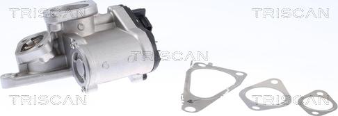 Triscan 8813 25201 - EGR-klapp onlydrive.pro